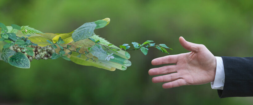 Sustainability and Recycling: ‘Doing our bit’